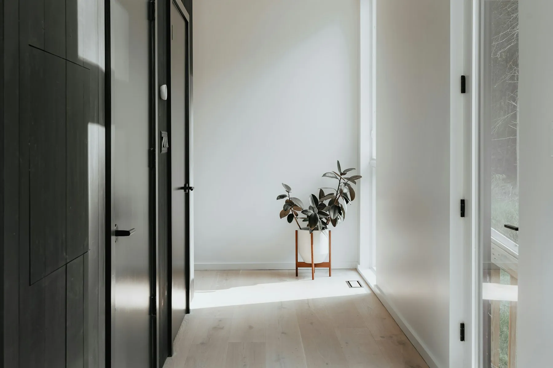 A domestic room with a panelled door standing open beside a plant
