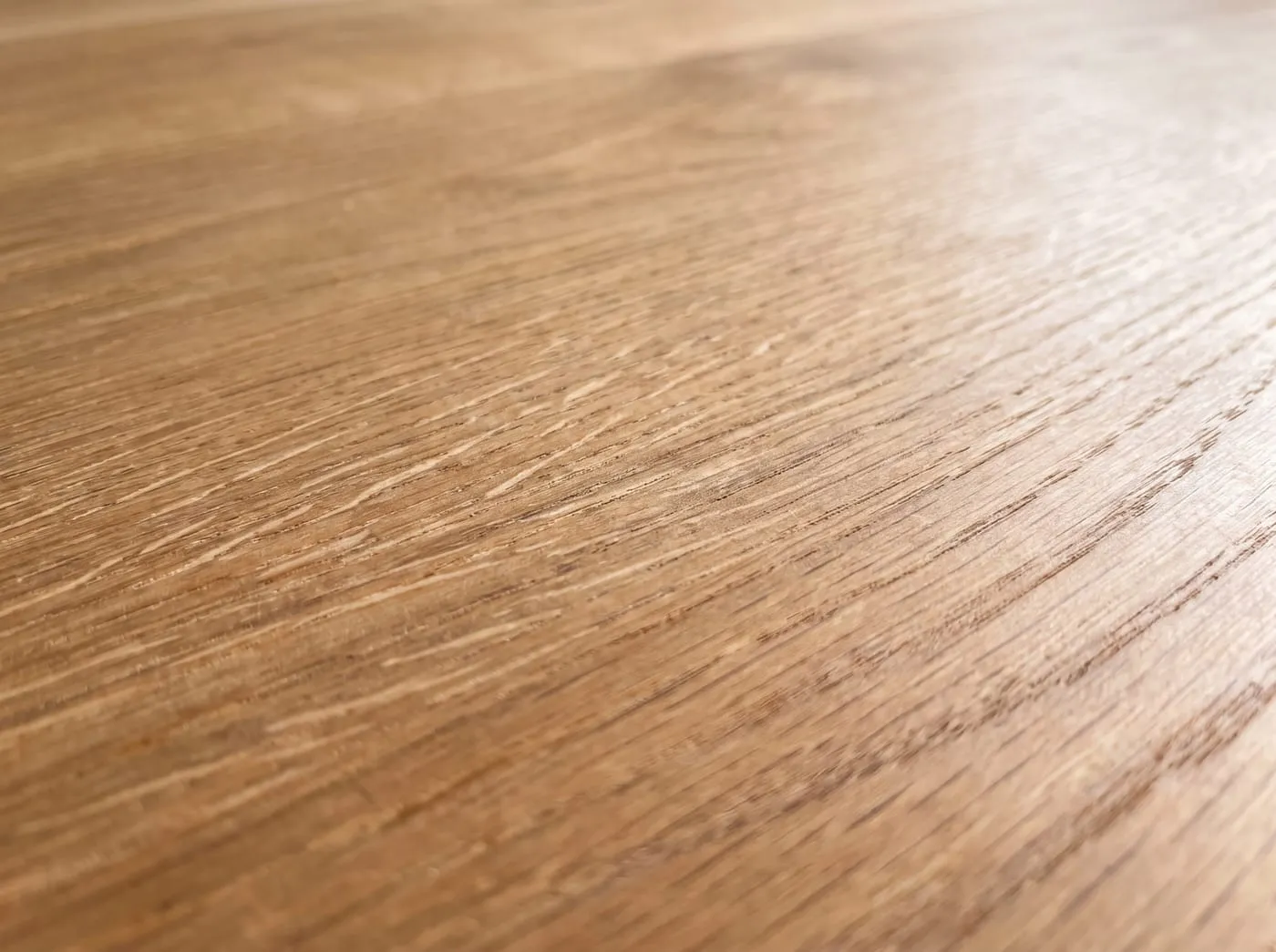 A macro study of sanded European oak, grain running the full frame